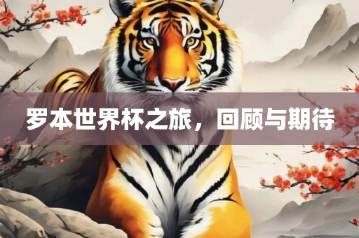 罗本世界杯之旅，回顾与期待