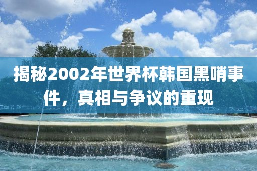 揭秘2002年世界杯韩国黑哨事件，真相与争议的重现眉山市正发家政服务有限公司