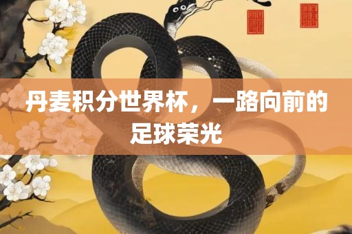丹麦积分世界杯，一路向前的足球荣光眉山市正发家政服务有限公司