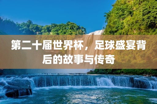 第二十届世界杯，足球盛宴背后的故事与传奇