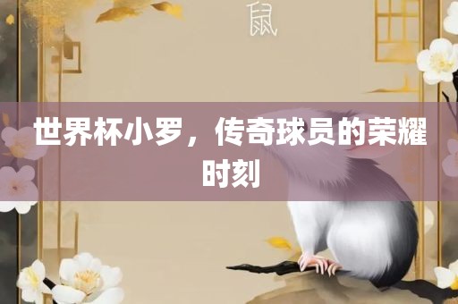 世界杯小罗，传奇球员的荣耀时刻