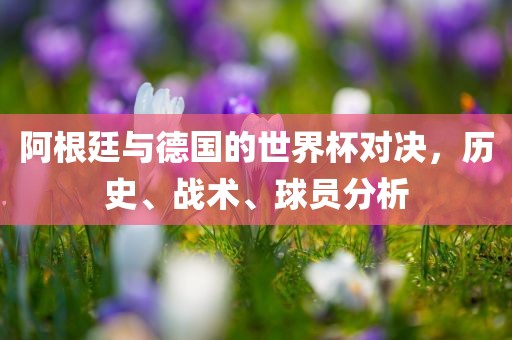 阿根廷与德国的世界杯对眉山市正发家政服务有限公司决，历史、战术、球员分析
