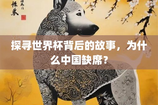 探寻世界杯背后的故事，为什么中国缺席？