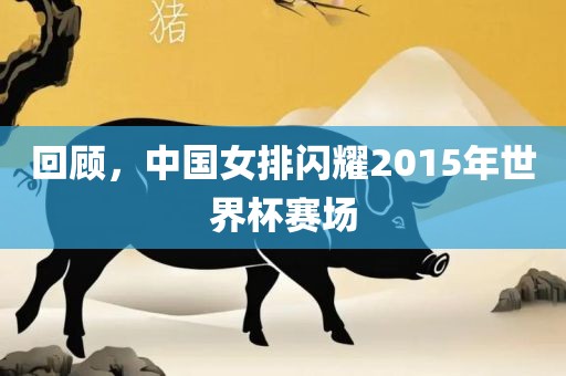 回顾，中国女排闪耀2015年世界杯赛场眉山市正发家政服务有限公司