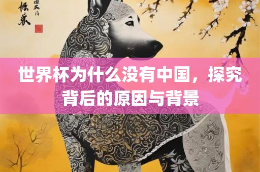 世界杯为什么没有中国，探究背后的原因与背景眉山市正发家政服务有限公司