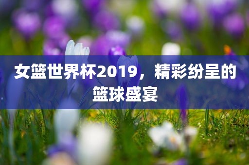 女篮世界眉山市正发家政服务有限公司杯2019，精彩纷呈的篮球盛宴
