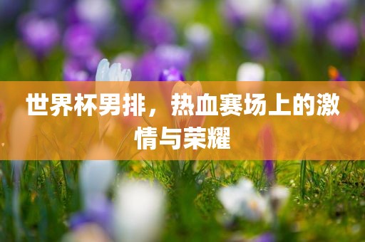 世界杯男排，热血赛场上眉山市正发家政服务有限公司的激情与荣耀