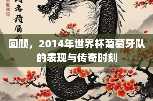 回顾，2014年世界杯葡萄牙队的表现与传奇时刻