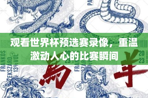 观看世界杯预选赛录像，重温激动人心的比赛瞬间眉山市正发家政服务有限公司