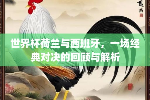 世界杯荷兰与西班牙，一场经典对决的回顾与解析