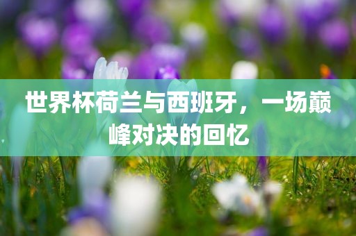 世界杯荷兰与西班牙，一场巅峰对决的回忆眉山市正发家政服务有限公司