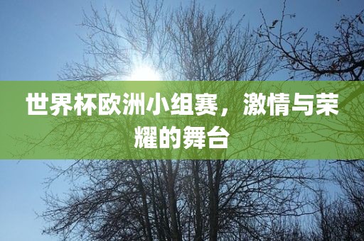 世界杯欧洲小组赛，激情与荣耀的舞台眉山市正发家政服务有限公司