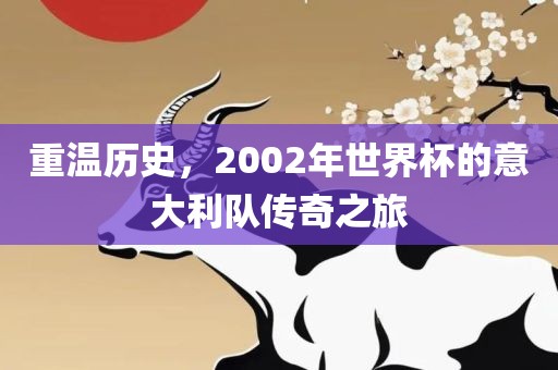 重温历史，2002年世界杯的意大利队传奇之旅