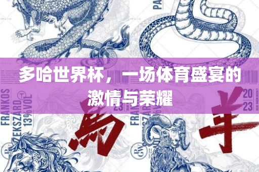 多哈世界杯，一场体育盛宴的激情与荣耀