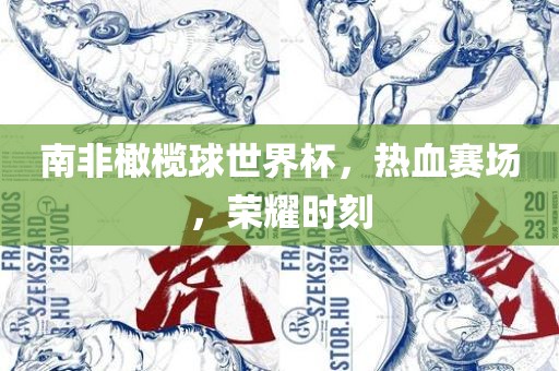 南非橄榄球世界杯，热血赛场，荣耀时刻眉山市正发家政服务有限公司