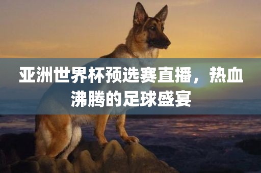 亚洲世界杯预选赛直播，热血沸腾的足球盛宴眉山市正发家政服务有限公司
