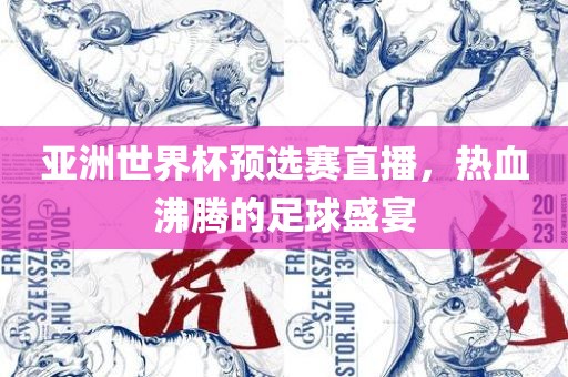 亚洲世界杯预选赛直播，热血沸腾的足球盛宴
