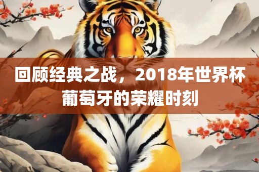 回顾经典之战，2018年世界杯葡萄牙的荣耀时刻眉山市正发家政服务有限公司