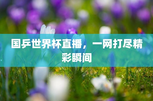 国乒世界杯直播，一网打尽精彩瞬间
