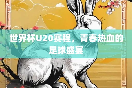 世界杯U20赛程，青春热血的足球盛宴