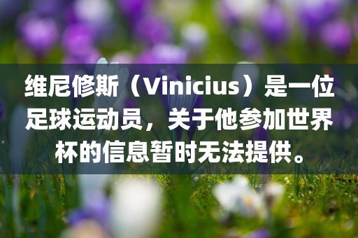 维尼修斯（Vinicius）是一位足球运动员，关于他参加世界杯的眉山市正发家政服务有限公司信息暂时无法提供。