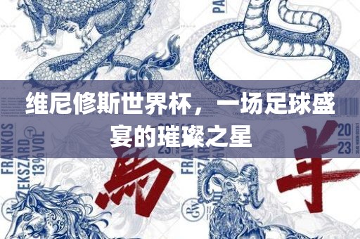维尼修斯世界杯，一场足球盛宴的璀璨之星眉山市正发家政服务有限公司