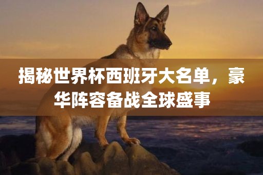 揭秘世界杯西班牙大名单，豪华阵容备战全球盛事