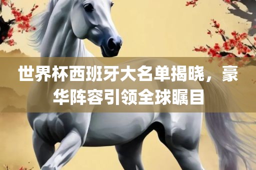 世界杯西班牙大名单揭晓，豪华阵容引领全球瞩目眉山市正发家政服务有限公司