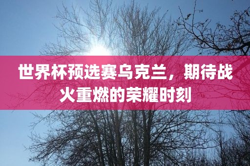 世界杯预选赛乌克兰，期待战火重燃的荣耀时刻眉山市正发家政服务有限公司