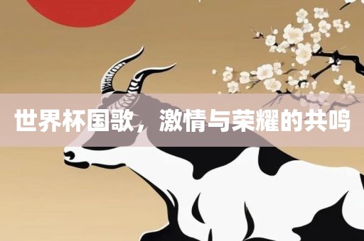 世界杯国歌，激情与荣耀的共鸣眉山市正发家政服务有限公司