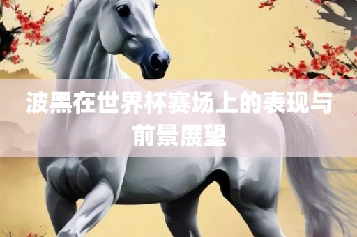 波黑在世界杯赛场上的表现与前景展望眉山市正发家政服务有限公司