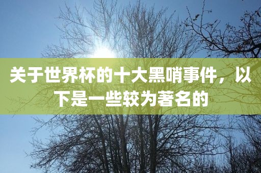关于世界杯的十大黑哨事件，以下是一些较为著名的眉山市正发家政服务有限公司