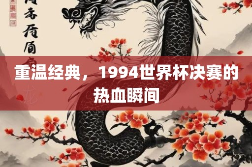 重温经典，1994世界杯决赛的热血瞬间眉山市正发家政服务有限公司