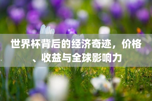 世界杯背后的经济奇迹，价格、收益与眉山市正发家政服务有限公司全球影响力