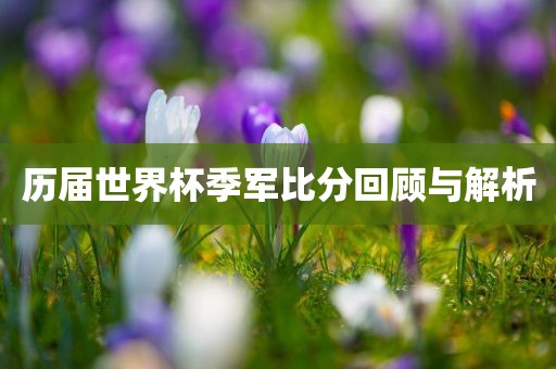历届世界杯季军比分回顾与解析