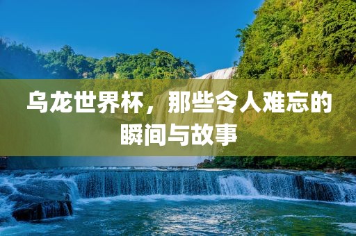 乌龙世界杯，那些令人难忘的瞬间与故事眉山市正发家政服务有限公司