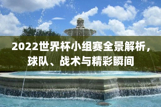 2022世界杯小组赛全景解析，球队、战术与精彩瞬间眉山市正发家政服务有限公司