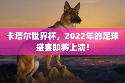 卡塔尔世界杯，2022年的足球盛宴即将上演！