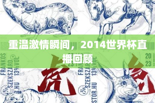 重温激情瞬间，2014世界杯直播回顾