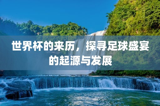 世界杯的来历，探寻足球盛宴的起源与发展眉山市正发家政服务有限公司