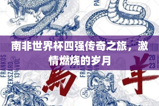 南非世界杯四强传奇之旅，激情燃烧的岁月