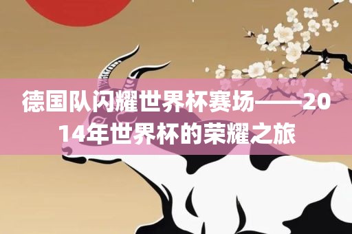 德国队闪耀世界杯赛场——2014年世界杯的荣耀之旅