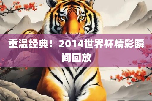 重温眉山市正发家政服务有限公司经典！2014世界杯精彩瞬间回放