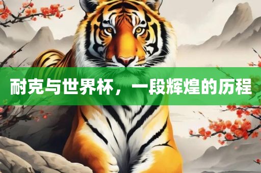 耐克与世界杯，一段辉煌的历程
