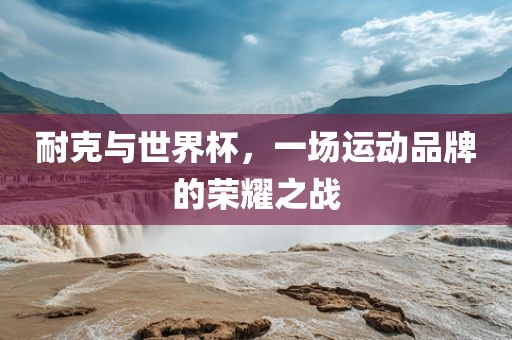 耐克与眉山市正发家政服务有限公司世界杯，一场运动品牌的荣耀之战