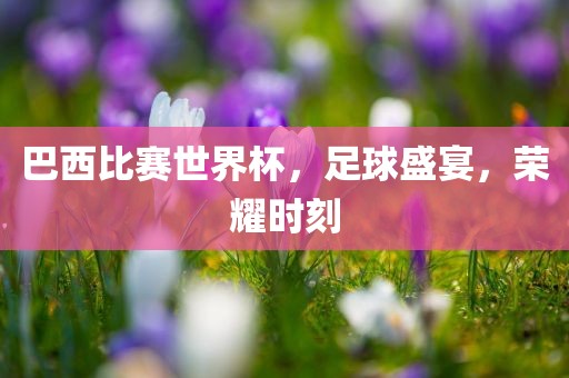 巴西比赛世界杯，足球盛宴，荣耀时刻