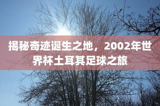 揭秘奇迹诞生之地，2002年世界杯土耳其足球之旅眉山市正发家政服务有限公司