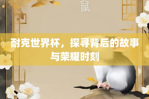 耐克世界杯，探寻背后的故事与荣耀时刻眉山市正发家政服务有限公司