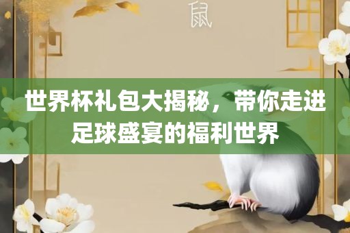 世界杯礼包大揭秘，带你走进足球盛宴的福利世界