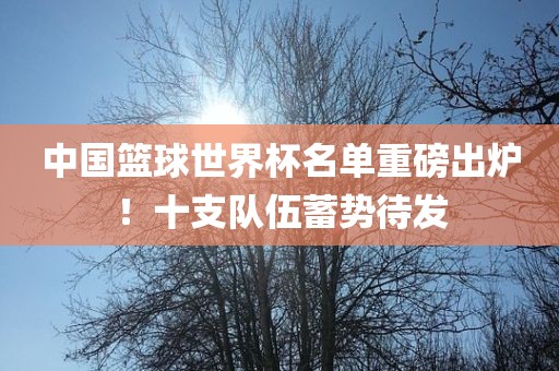 中国篮球世界杯名单重磅出炉！十支队伍蓄势待发